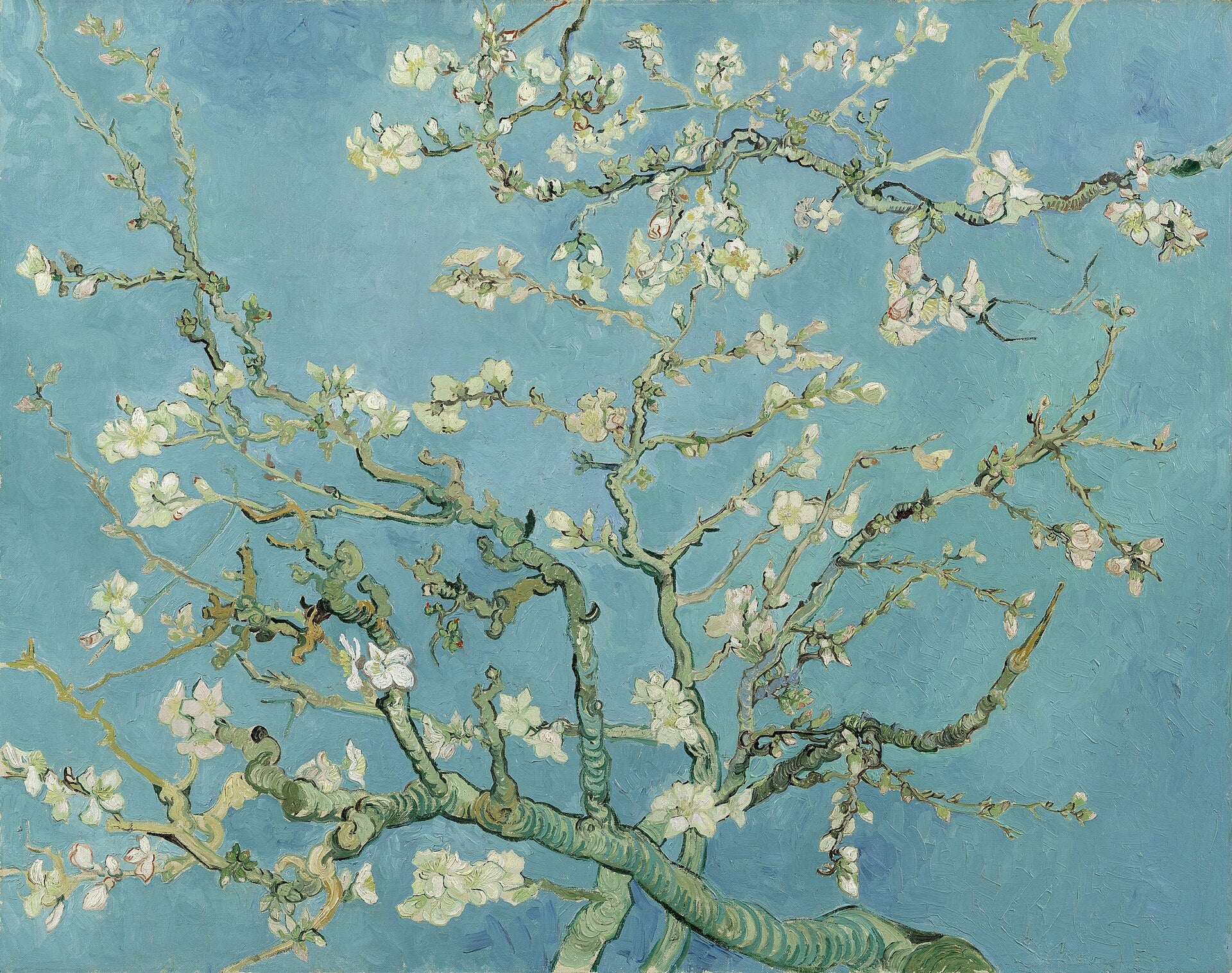 Vincent van Gogh, Almond Blossom, 1890 fine art print by Art Lectio