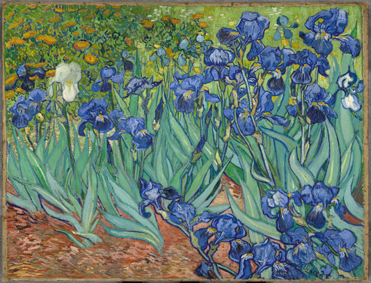 Vincent van Gogh, Irises, 1889 — Giclée Print & Canvas